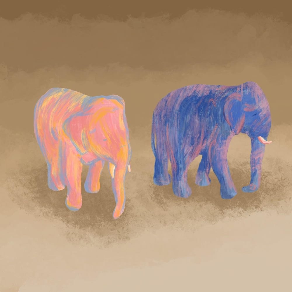 Textured Elephants - image 3 - student project