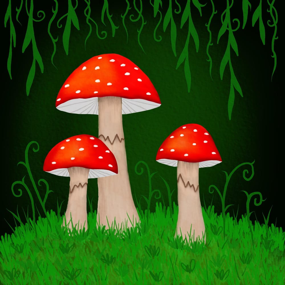 Whimsical Mushrooms - image 1 - student project