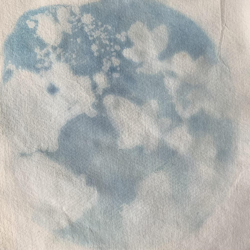 Wet cyanotype - image 2 - student project