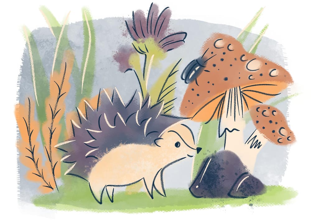 Hedgehog illustration in 6 ways - image 6 - student project
