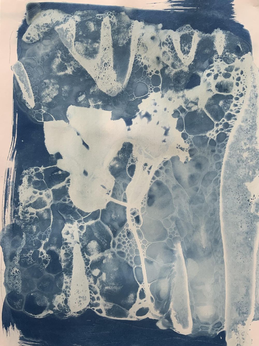 Wet cyanotype - image 3 - student project