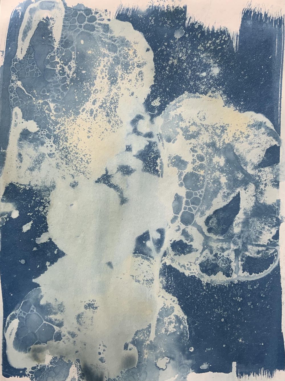 Wet cyanotype - image 4 - student project