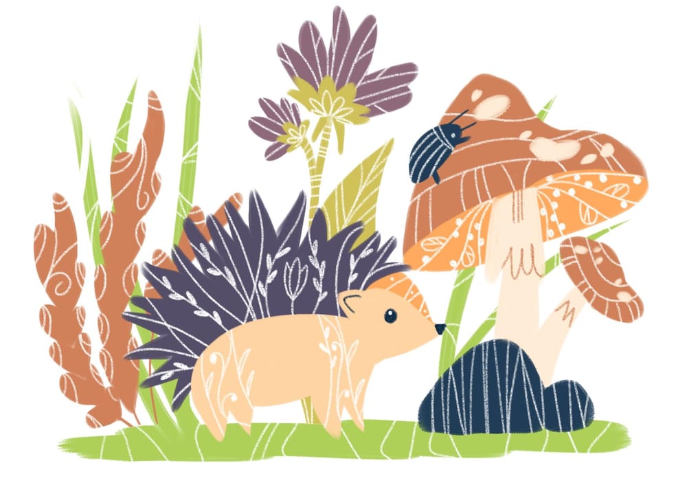 Hedgehog illustration in 6 ways - image 5 - student project