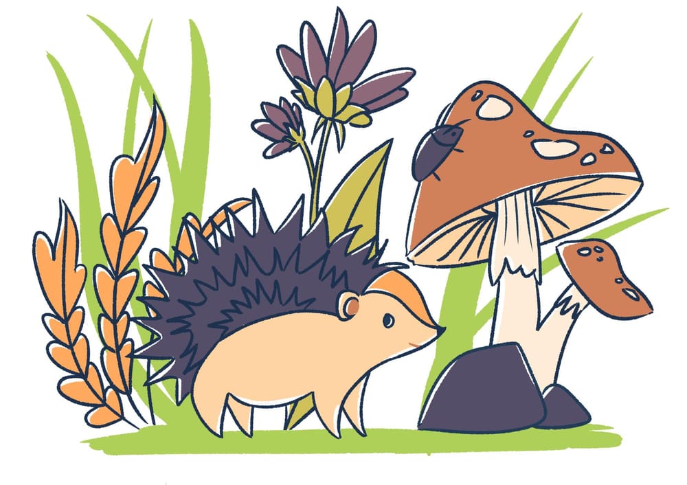 Hedgehog illustration in 6 ways - image 1 - student project