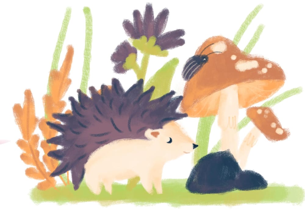 Hedgehog illustration in 6 ways - image 3 - student project