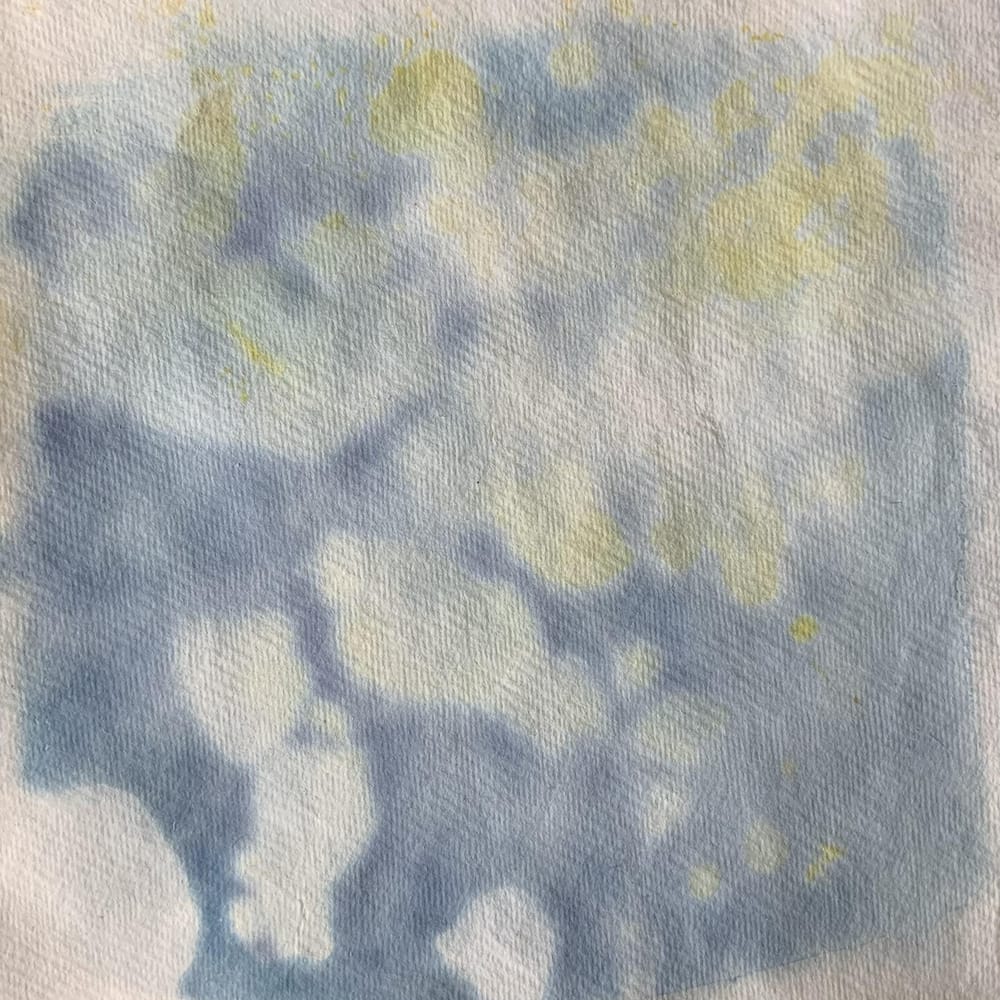 Wet cyanotype - image 1 - student project