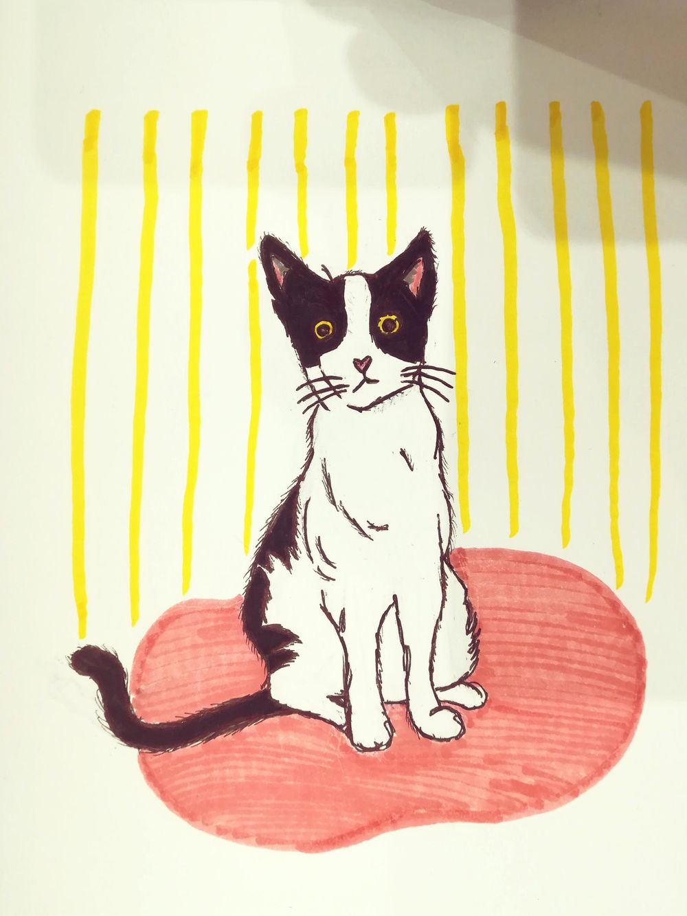 Black and white cat - image 1 - student project