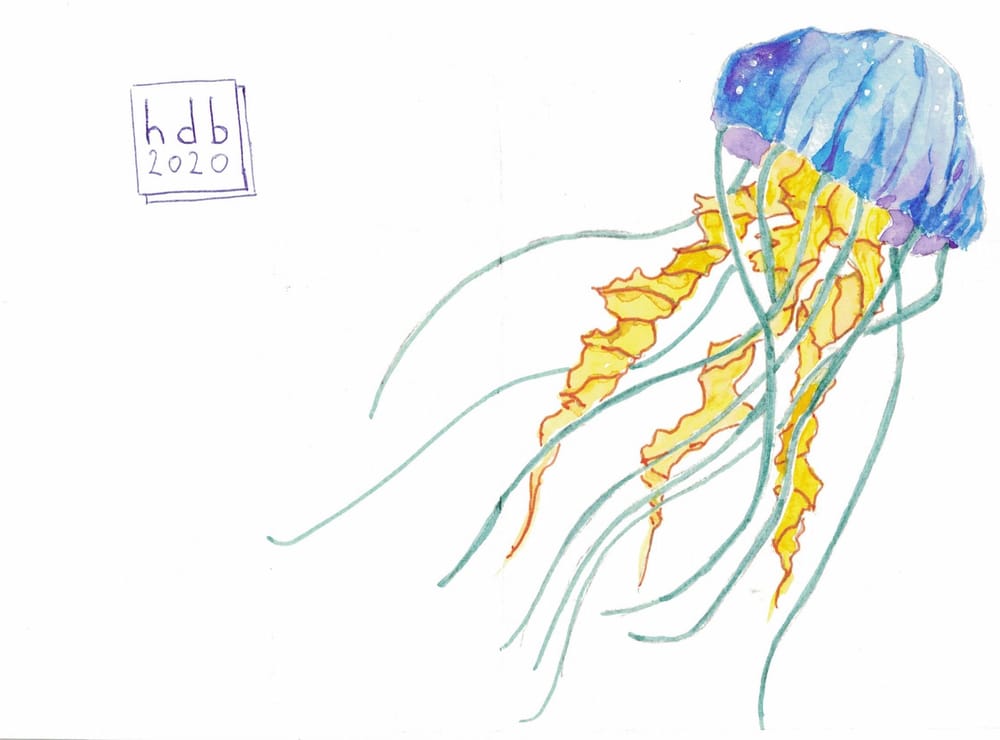 jellyfish postcards - image 1 - student project