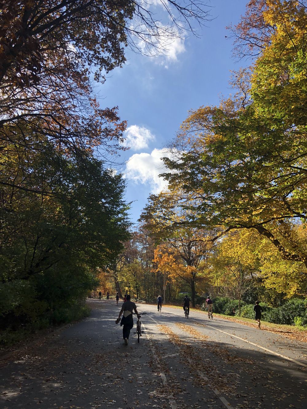 Prospect Park Loop, Brooklyn - image 1 - student project