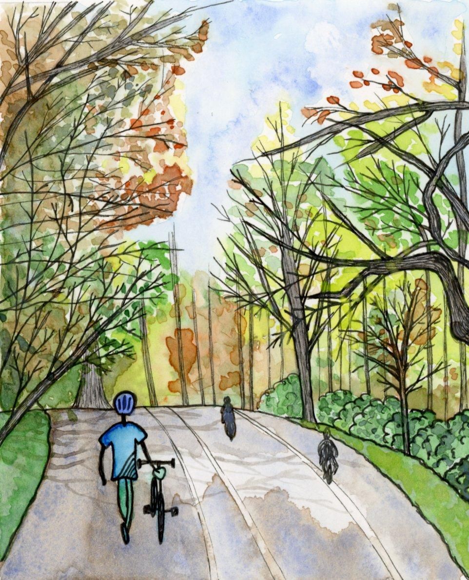 Prospect Park Loop, Brooklyn - image 7 - student project