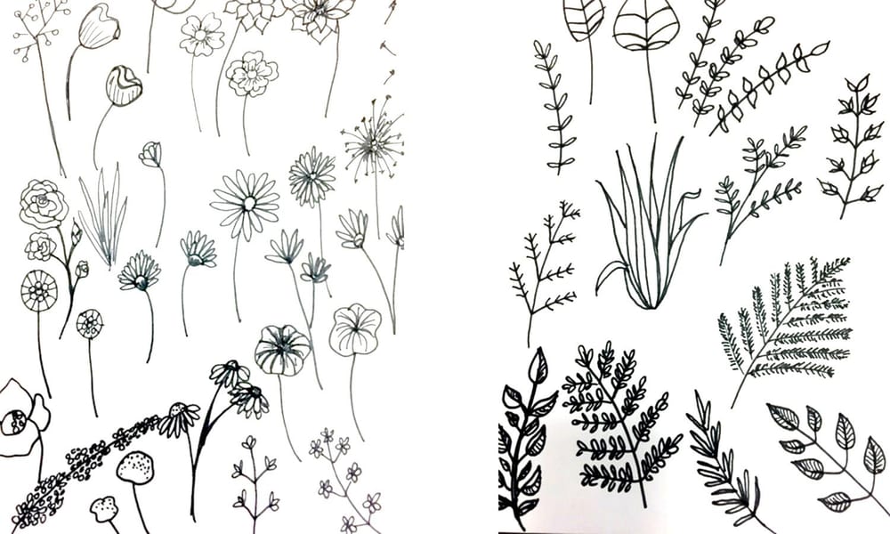 Inspired Terrariums! - image 2 - student project