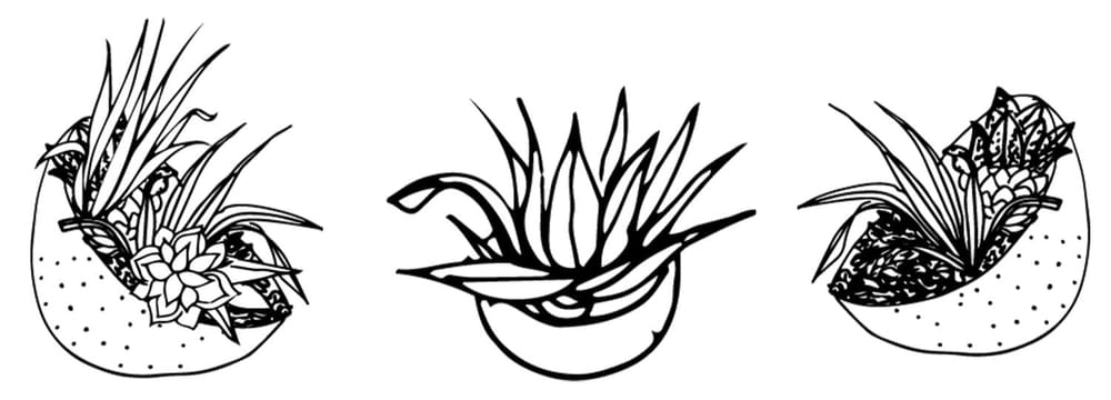Inspired Terrariums! - image 1 - student project