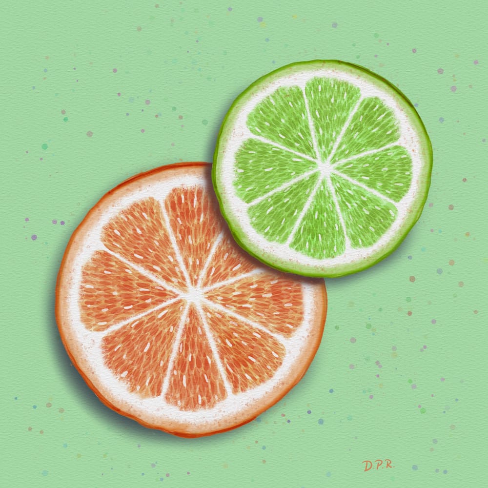 Citrus Slices - image 2 - student project