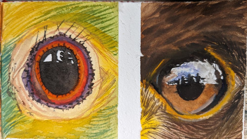Mastering Animal and Bird Eyes with Expression and Emotion in Watercolor - image 2 - student project