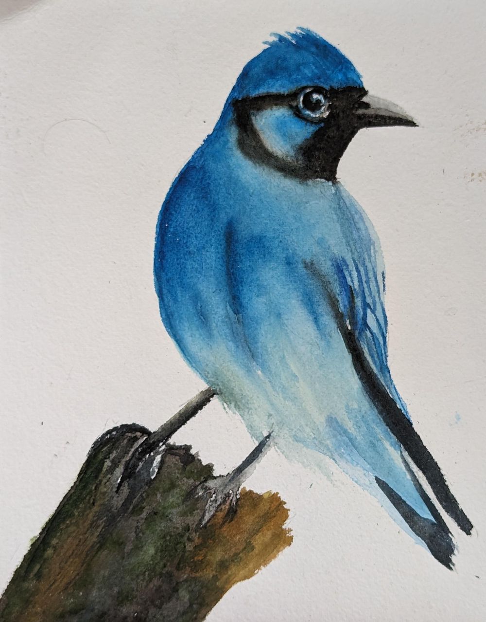 From Hobbyist to Professional Artist : Paint a Fine Art Collection - image 9 - student project