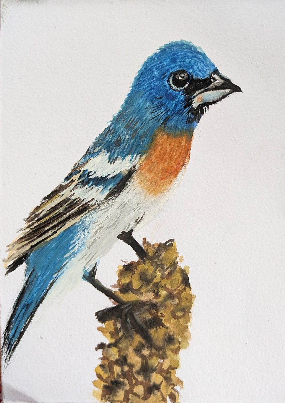 From Hobbyist to Professional Artist : Paint a Fine Art Collection - image 7 - student project