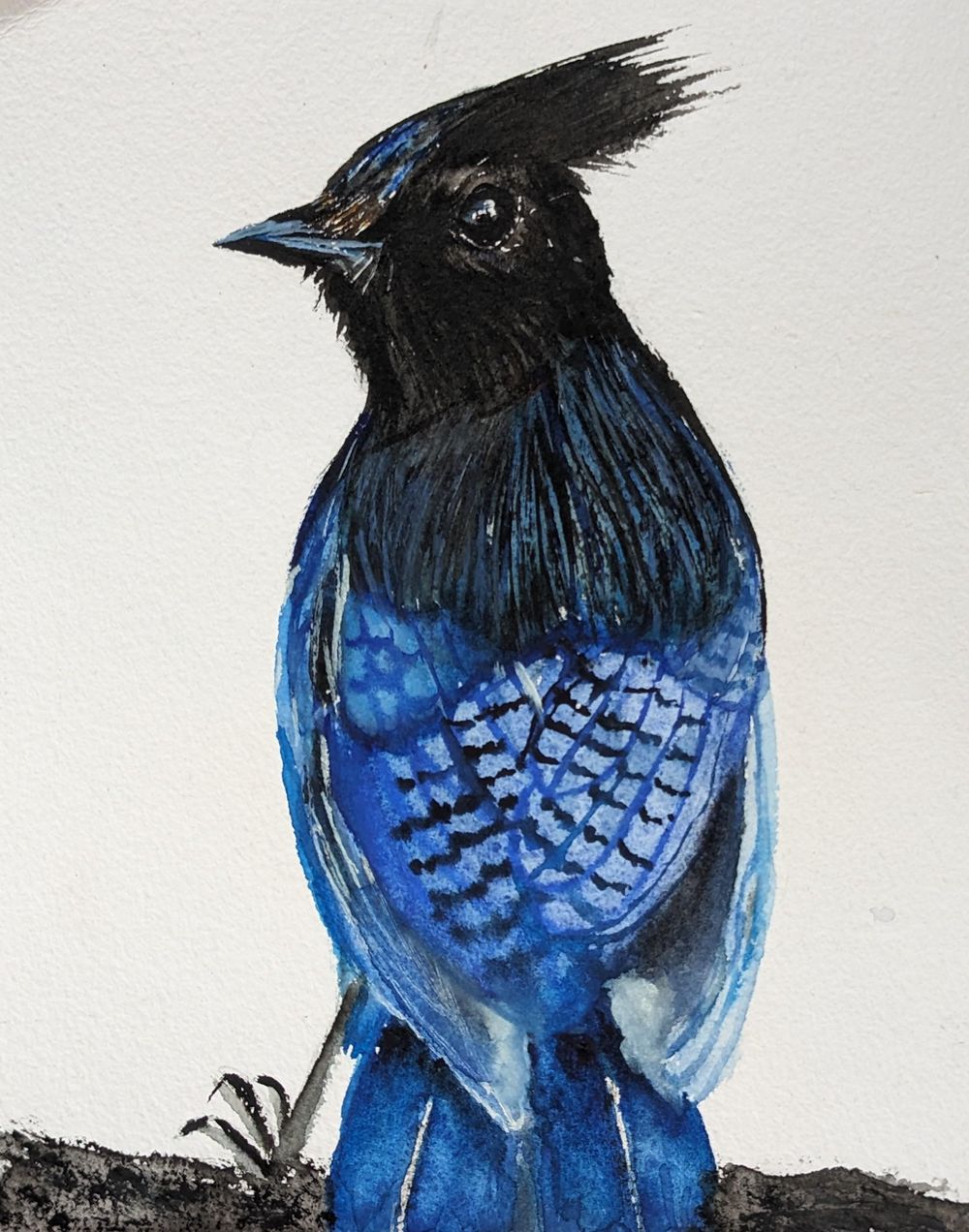From Hobbyist to Professional Artist : Paint a Fine Art Collection - image 6 - student project
