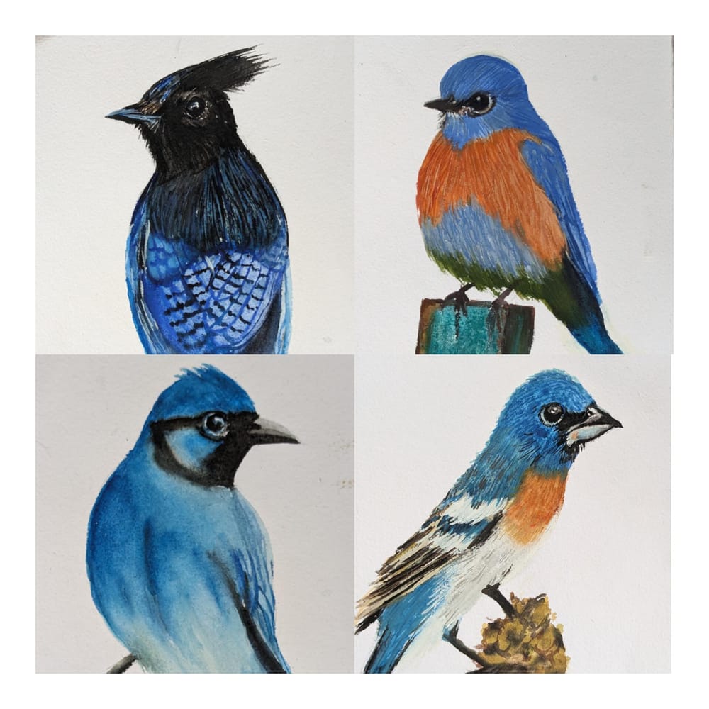 From Hobbyist to Professional Artist : Paint a Fine Art Collection - image 5 - student project