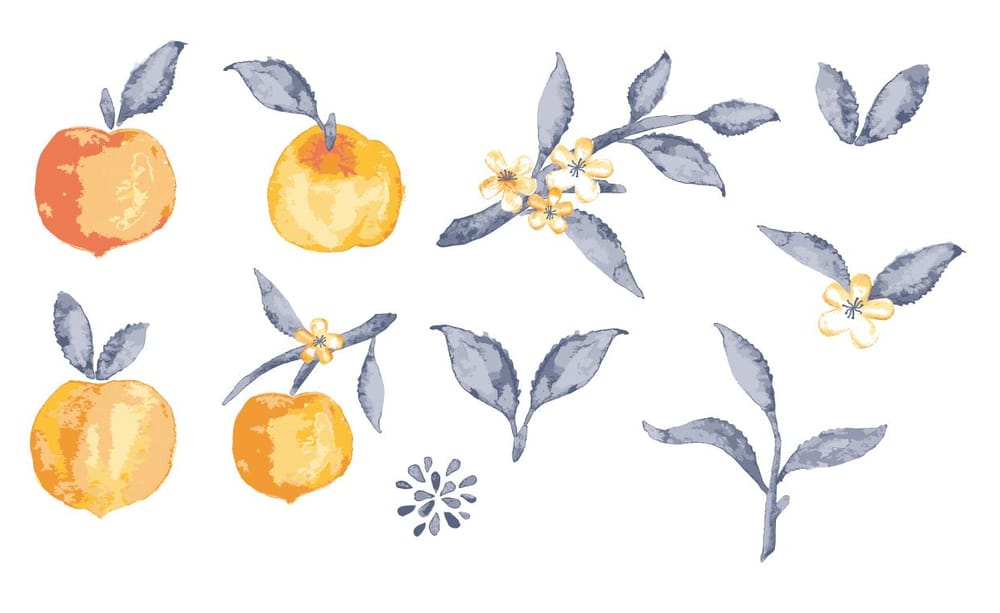Melons and Peaches - image 10 - student project