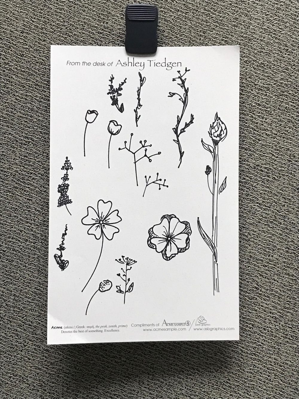 Sketches from Class - image 1 - student project
