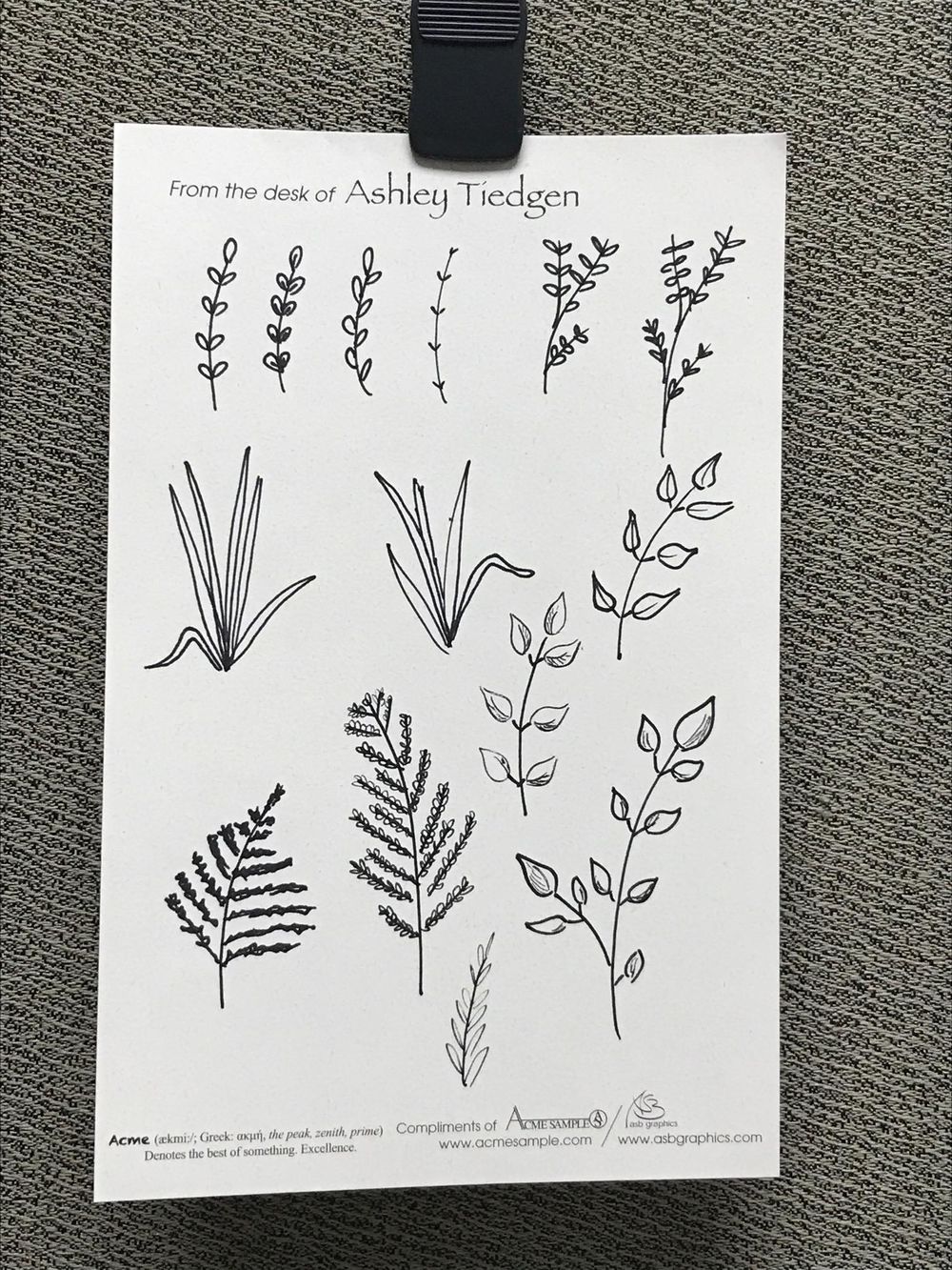 Sketches from Class - image 2 - student project