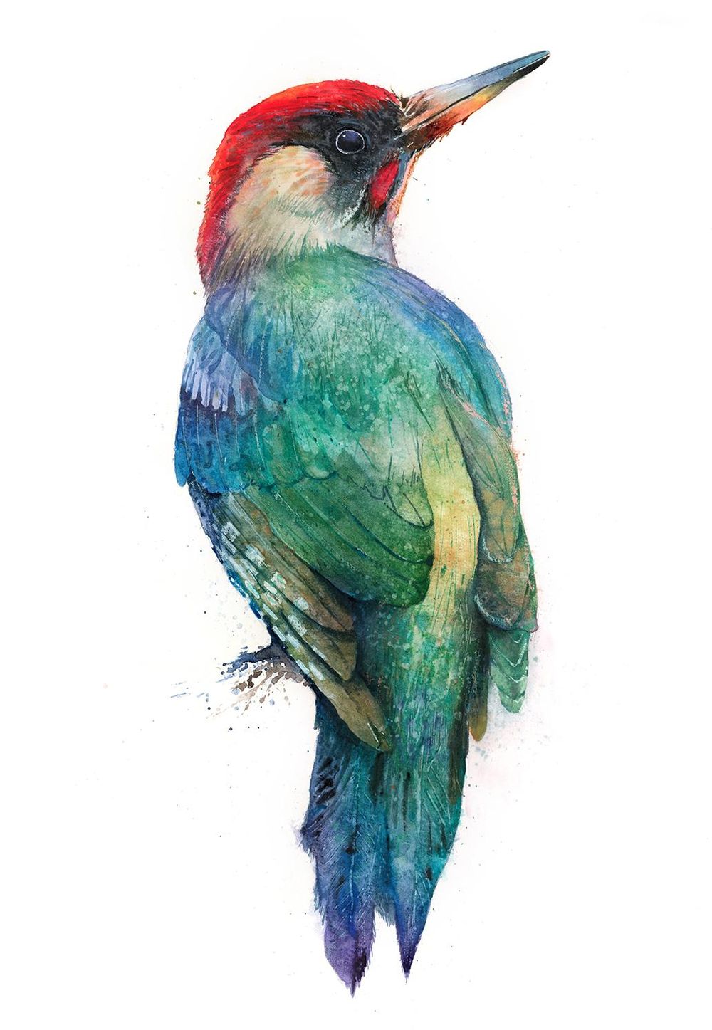 Woodpecker from my latest class... - image 1 - student project
