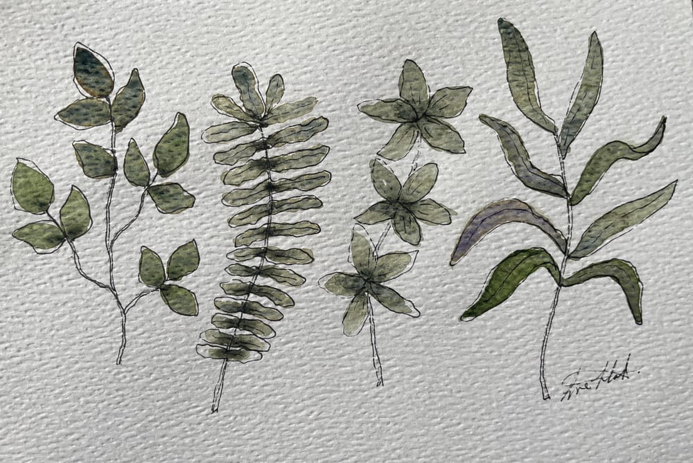Foliage study - image 1 - student project