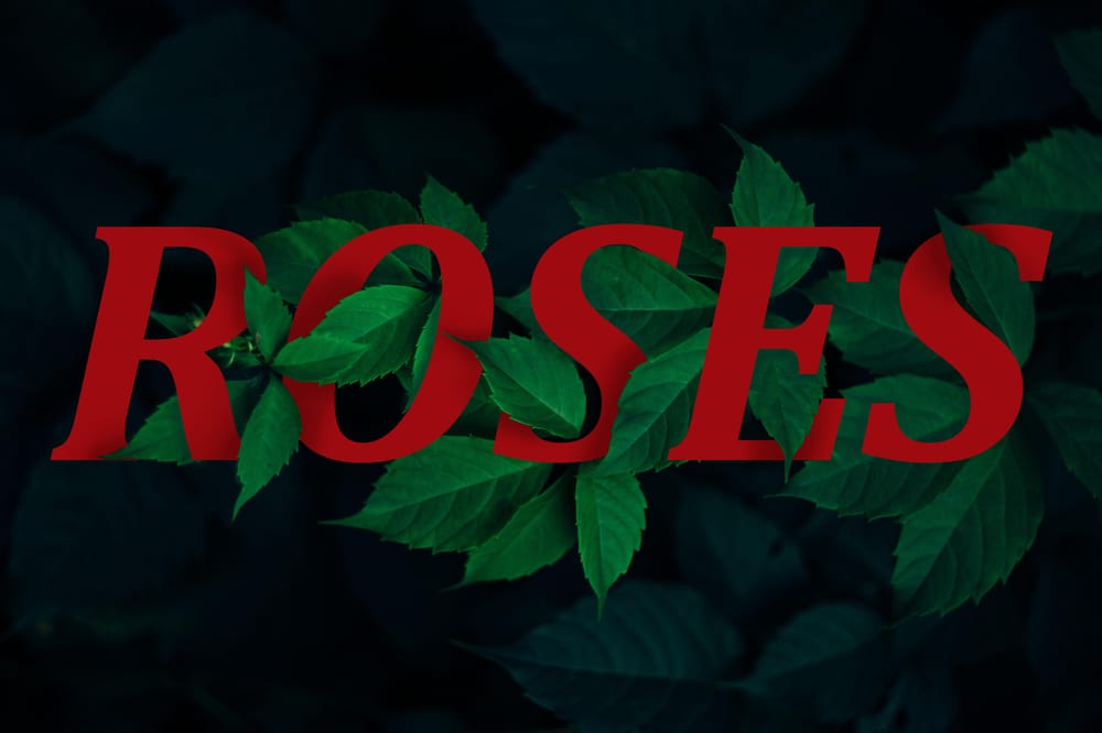 Projects For Photo Shop - image 10 - student project