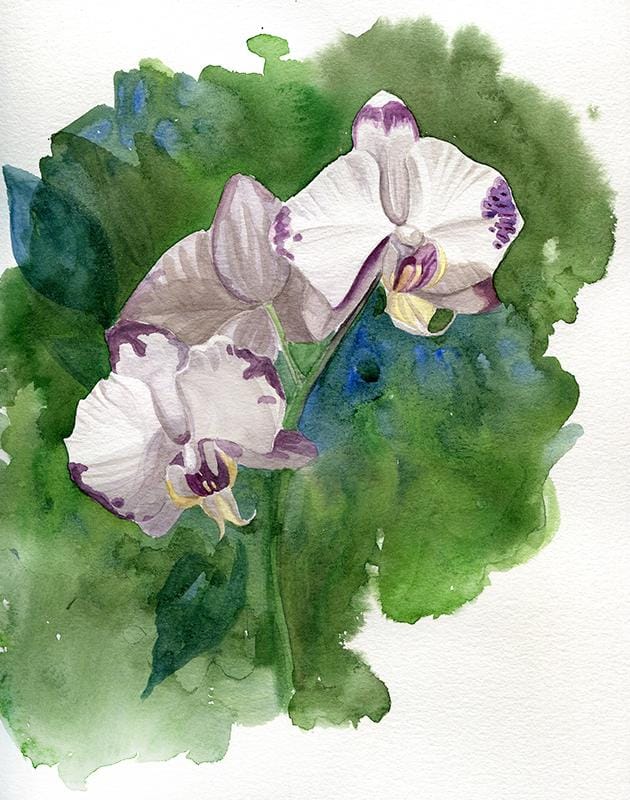 peonies - image 1 - student project
