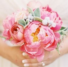 peonies - image 6 - student project
