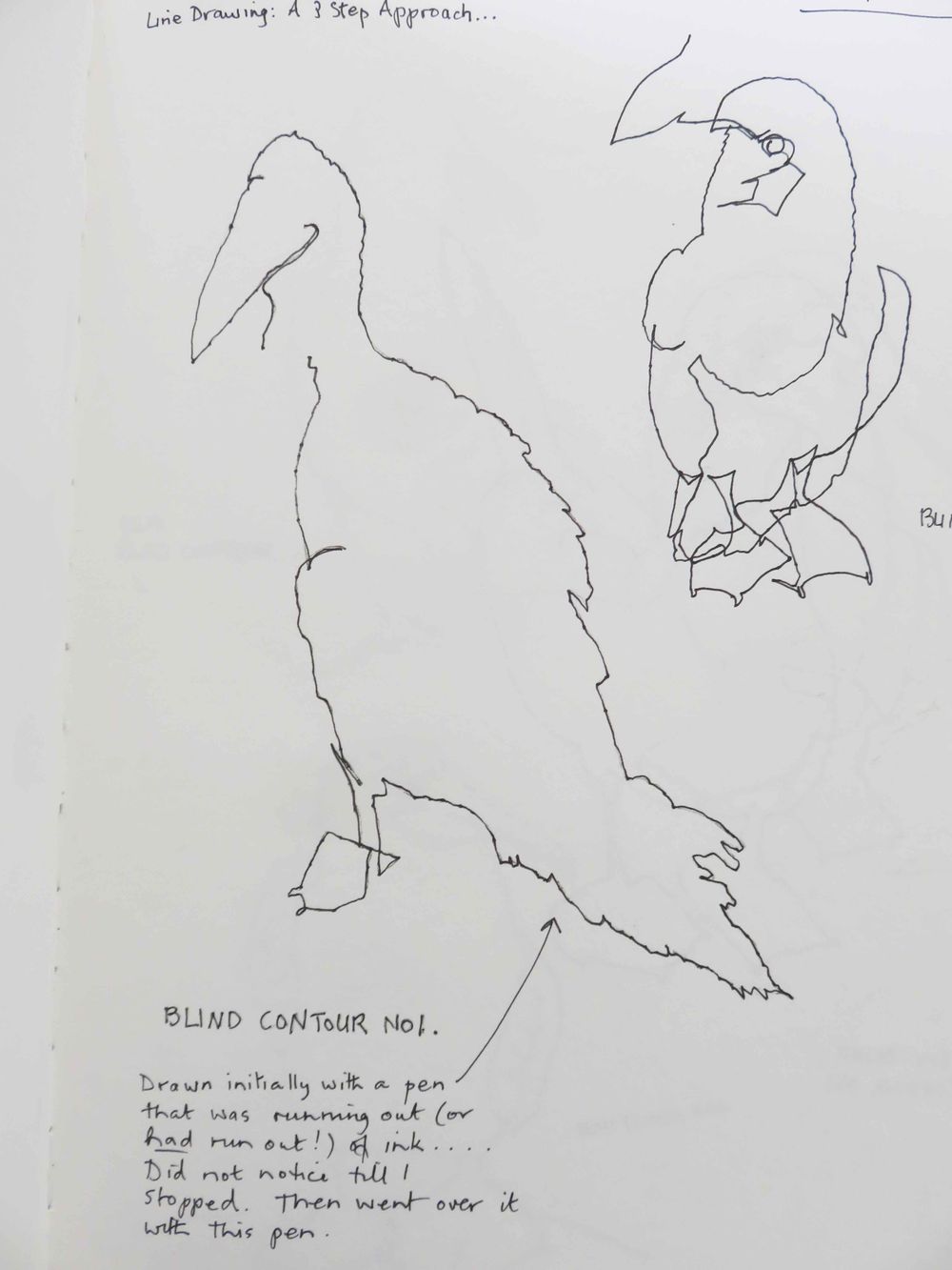 Blind Contours - image 1 - student project