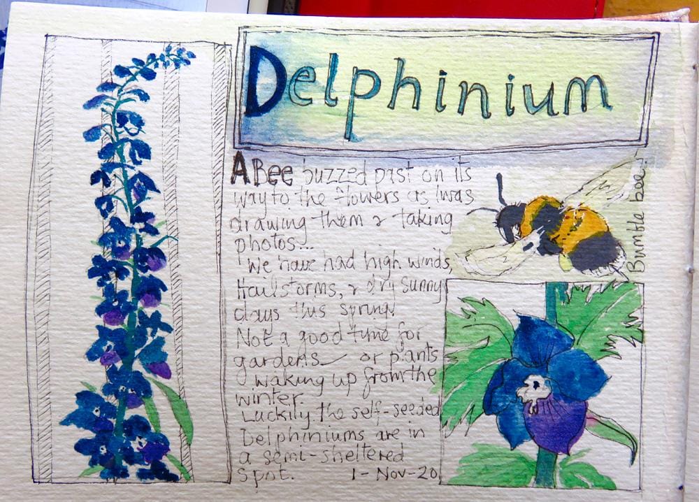 Plant journal - image 5 - student project