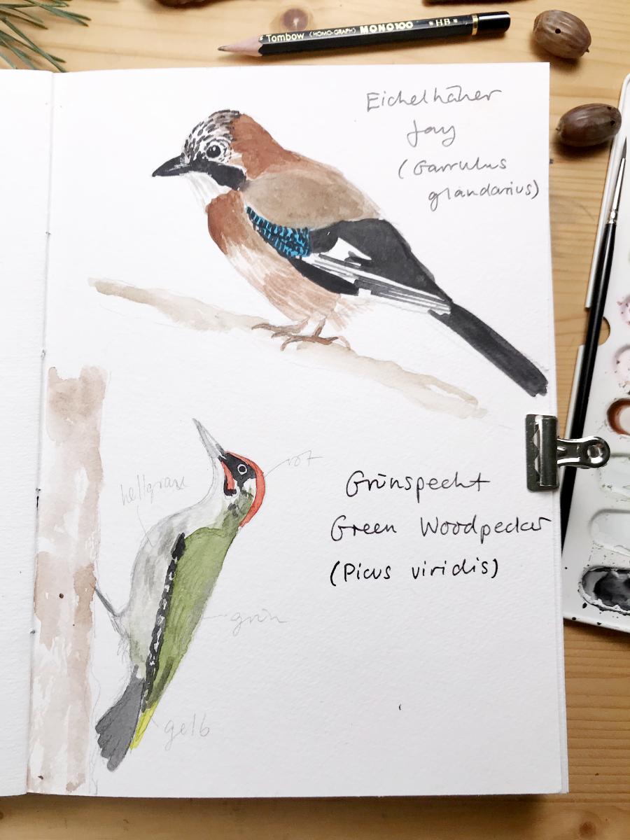 My Nature Sketchbook In Winter - image 5 - student project