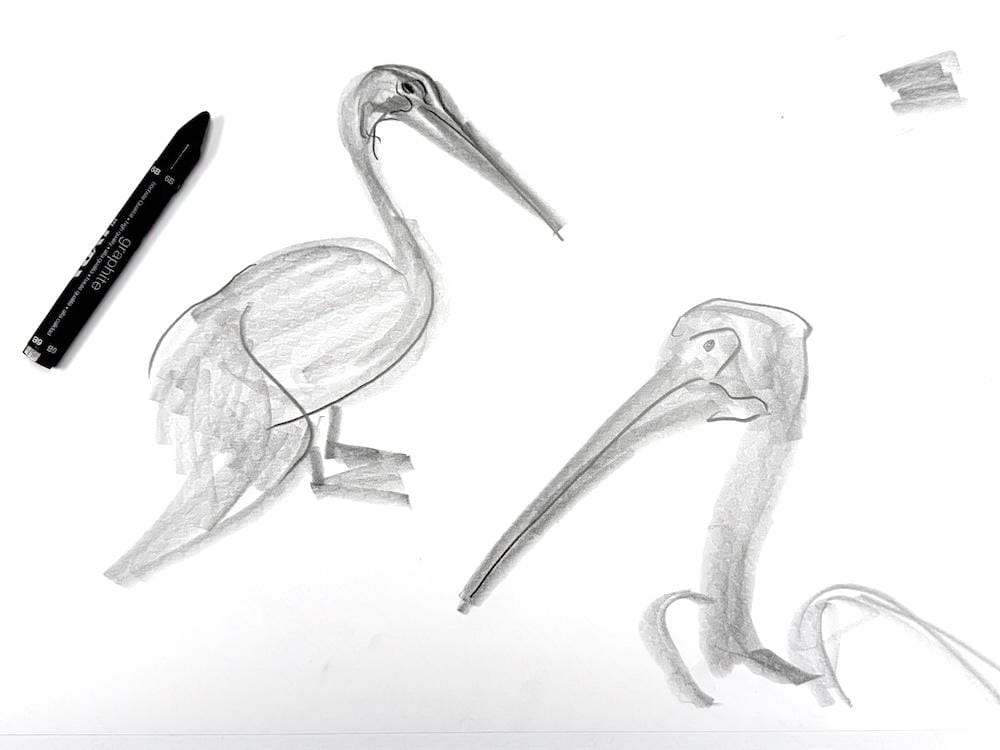 Loose shapes with graphite sticks - image 2 - student project