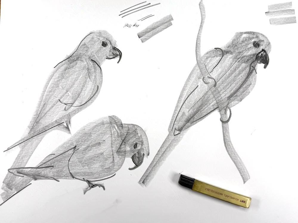 Loose shapes with graphite sticks - image 1 - student project