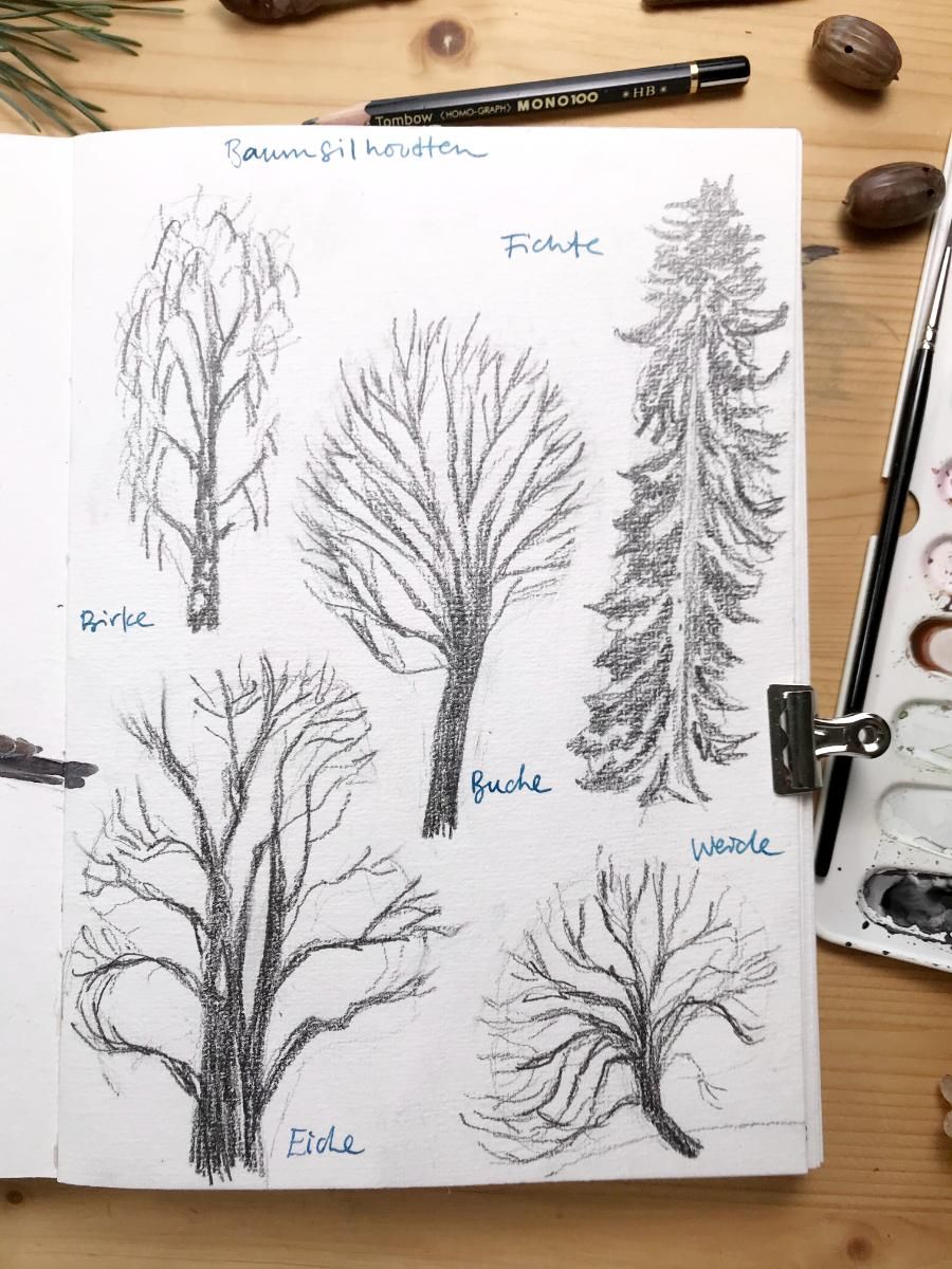 My Nature Sketchbook In Winter - image 2 - student project