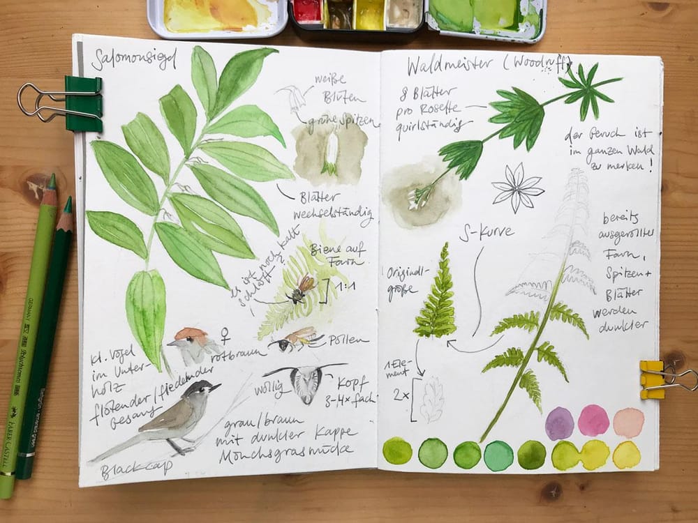 Nature Journaling Ideas For Spring - image 1 - student project