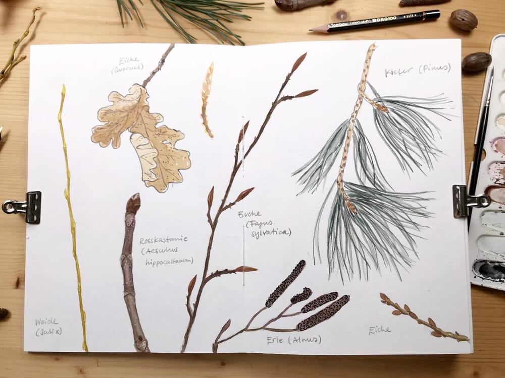 My Nature Sketchbook In Winter - image 3 - student project