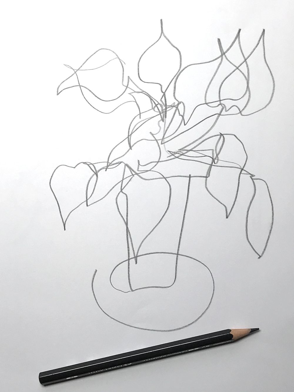 My blind contour drawings - image 4 - student project