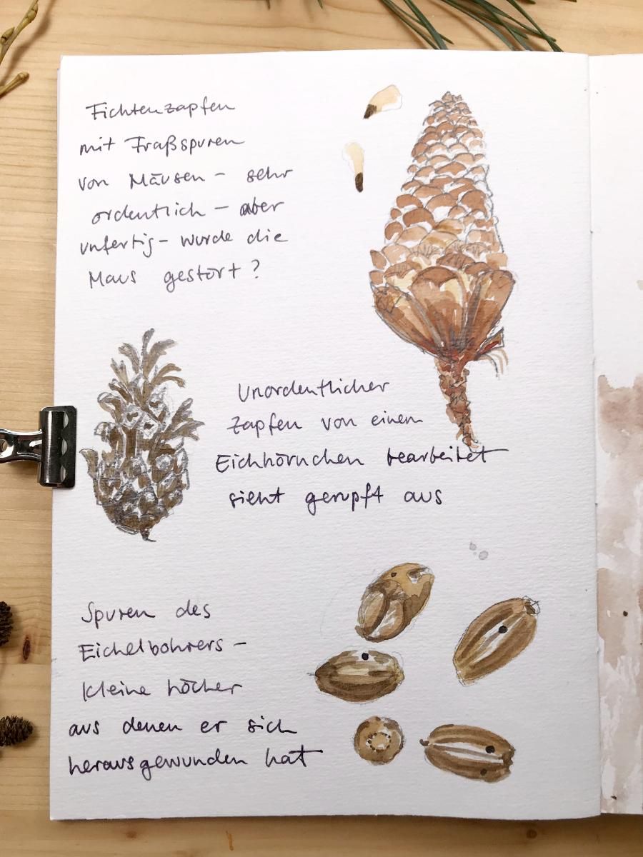 My Nature Sketchbook In Winter - image 4 - student project