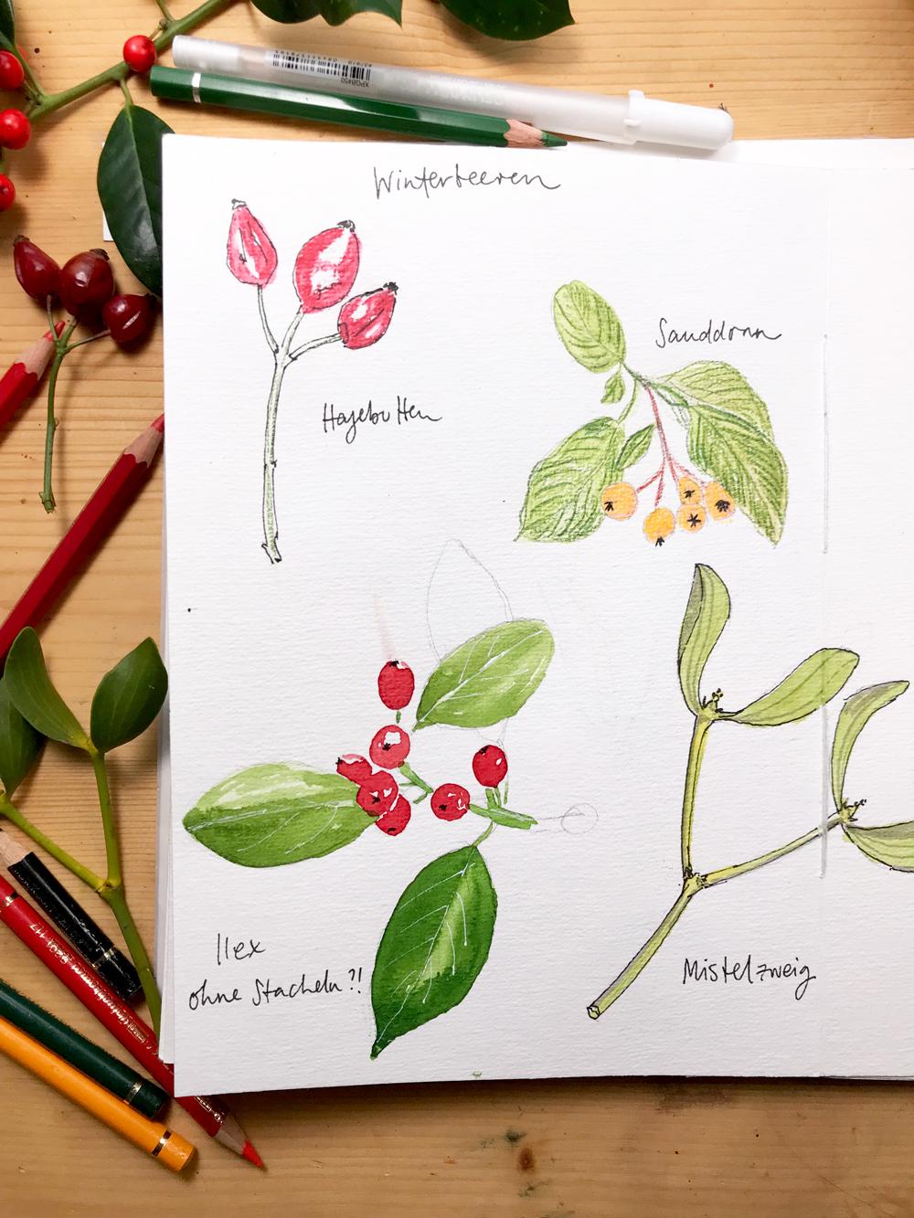 My nature sketchbook - image 2 - student project