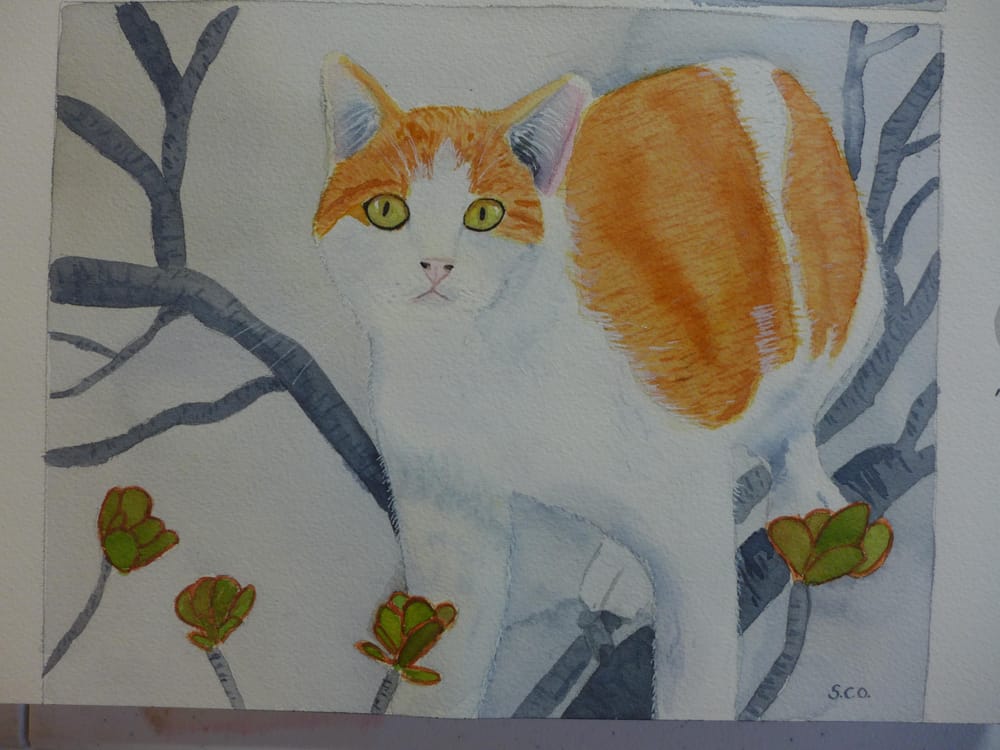 Fur in Watercolor - image 1 - student project