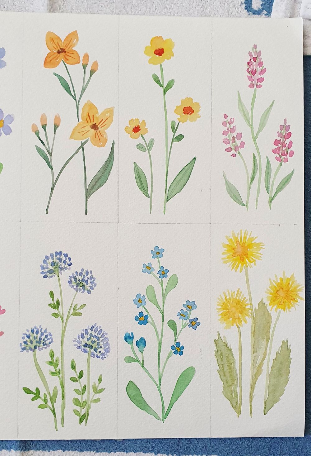 Spring flowers - image 3 - student project