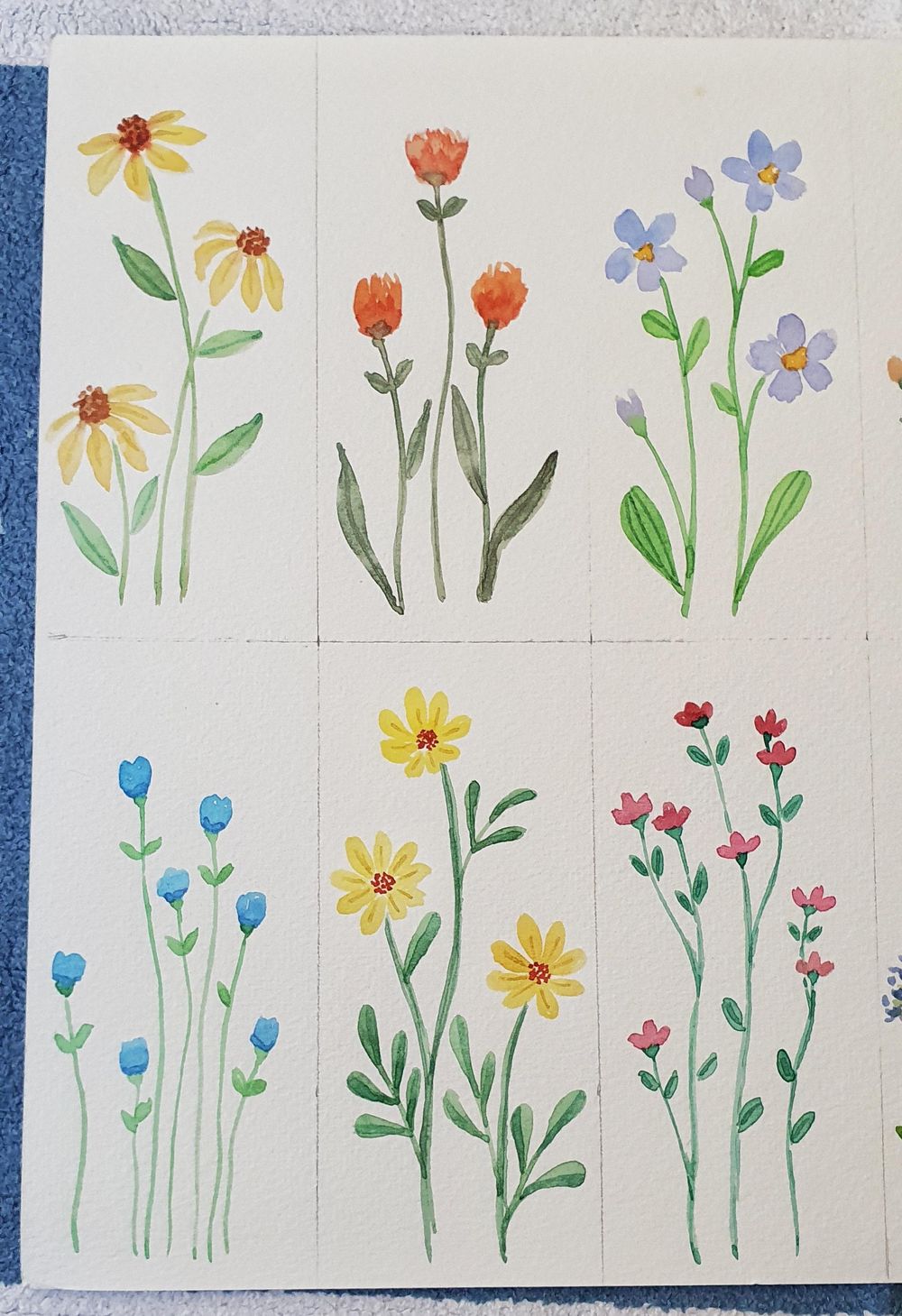 Spring flowers - image 2 - student project