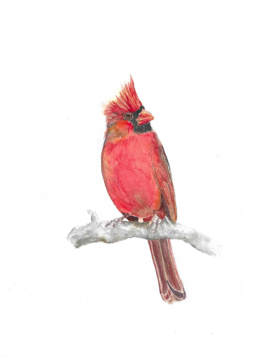Birds wet in wet - image 7 - student project
