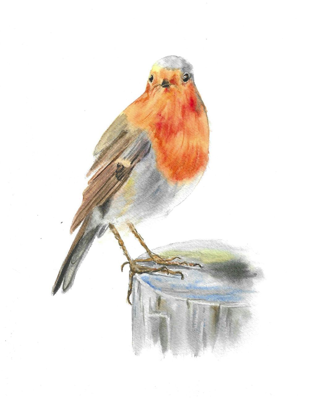 Birds wet in wet - image 2 - student project
