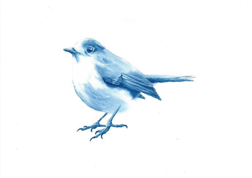 Birds wet in wet - image 1 - student project