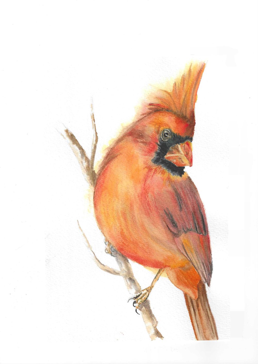 Birds wet in wet - image 6 - student project