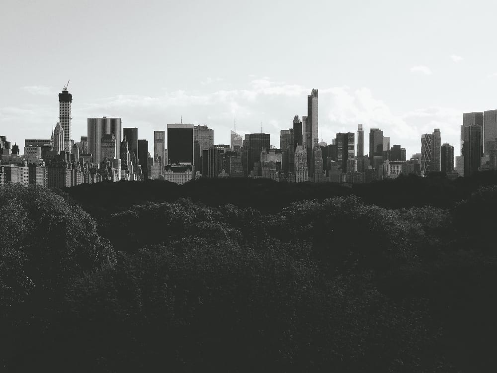 A Phantom's view of New York - image 12 - student project