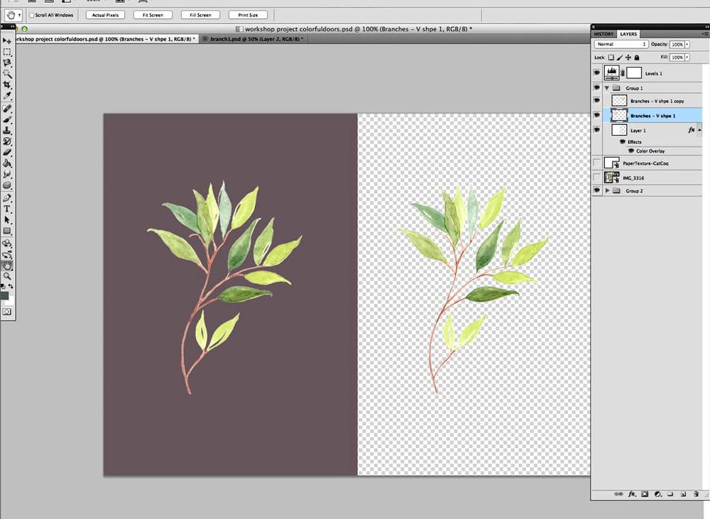 edit-and-digitize-watercolor-elements-skillshare-student-project